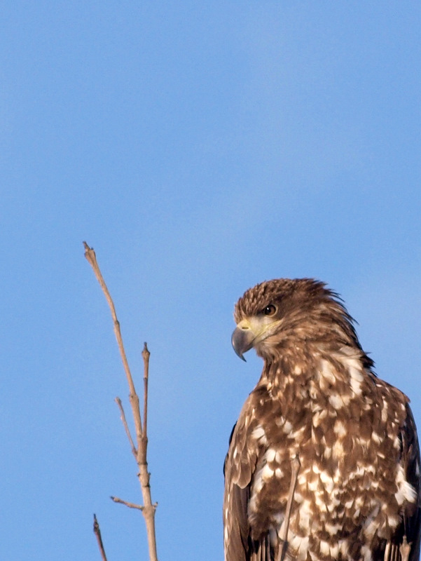 [P2172037-2.JPG]