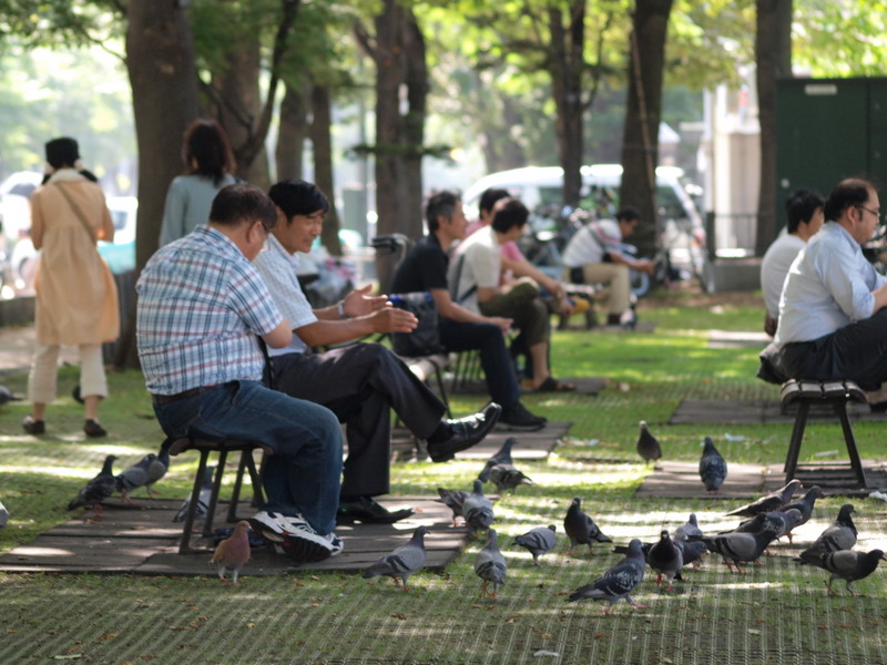 [P8051179.JPG]