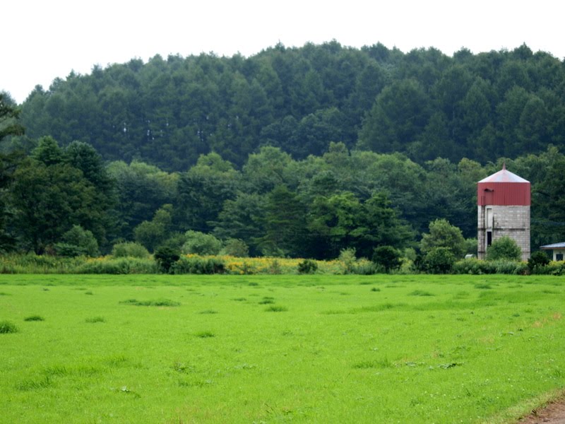 [P8284470.JPG]