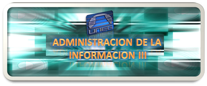 Administracion de La Informacion 2008-II