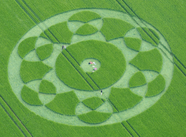 Crop Circle - Mexican Cockfight Crop Circle - Mexican Cockfight