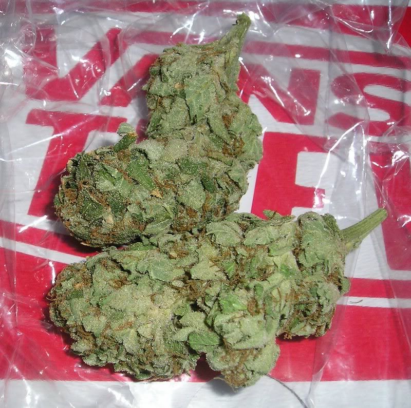 Different types of bud strains OG Kush & Double OG OG)