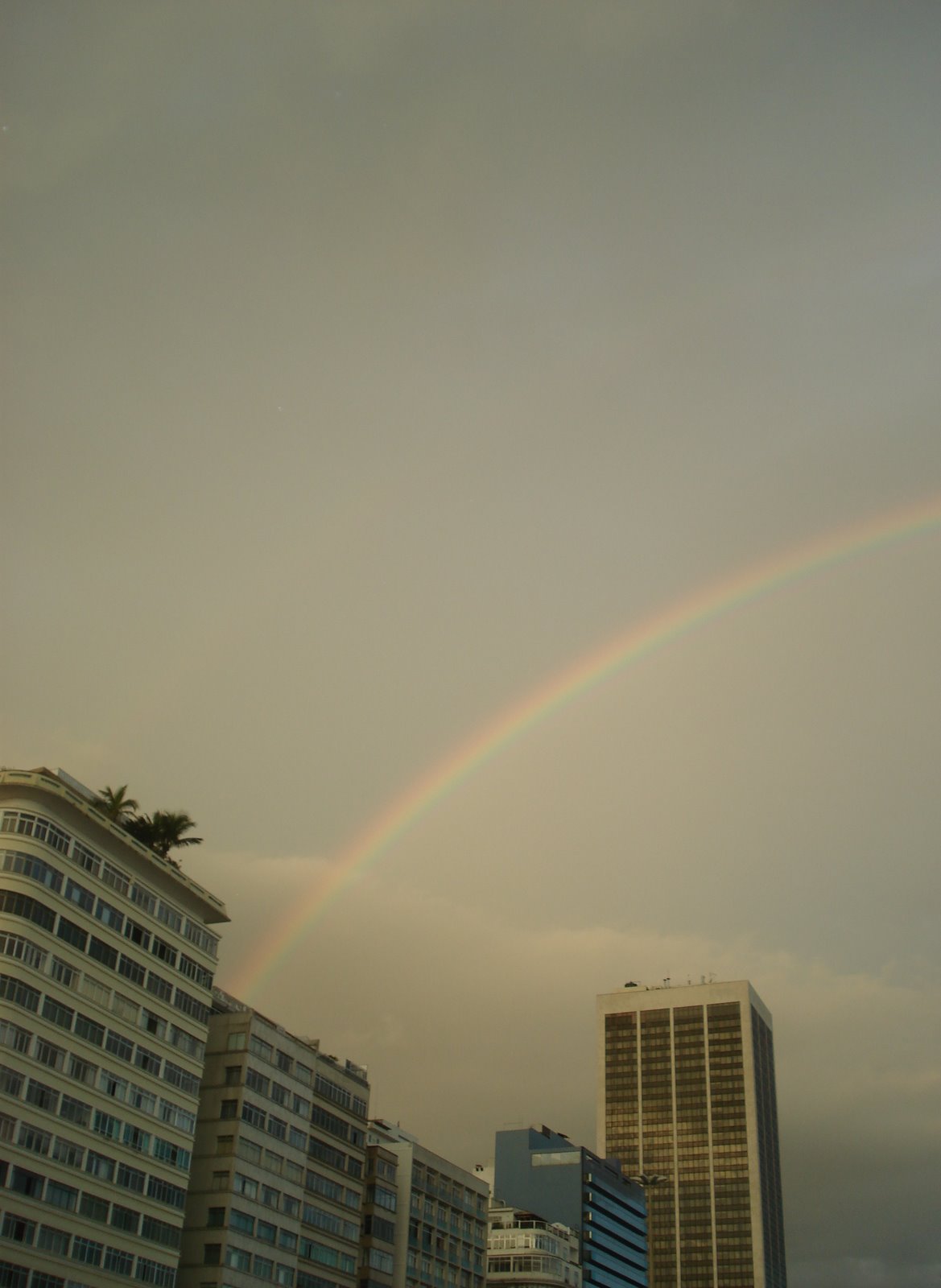 [DSC03250.JPG]