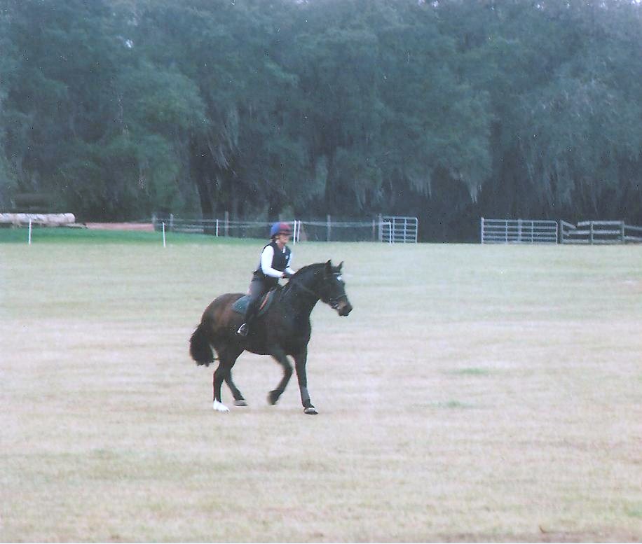 Calypso Farm Eventers Eventing Derby at Rocking Horse