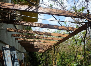 Meine grüne Leidenschaft: Pergola wird erneuert