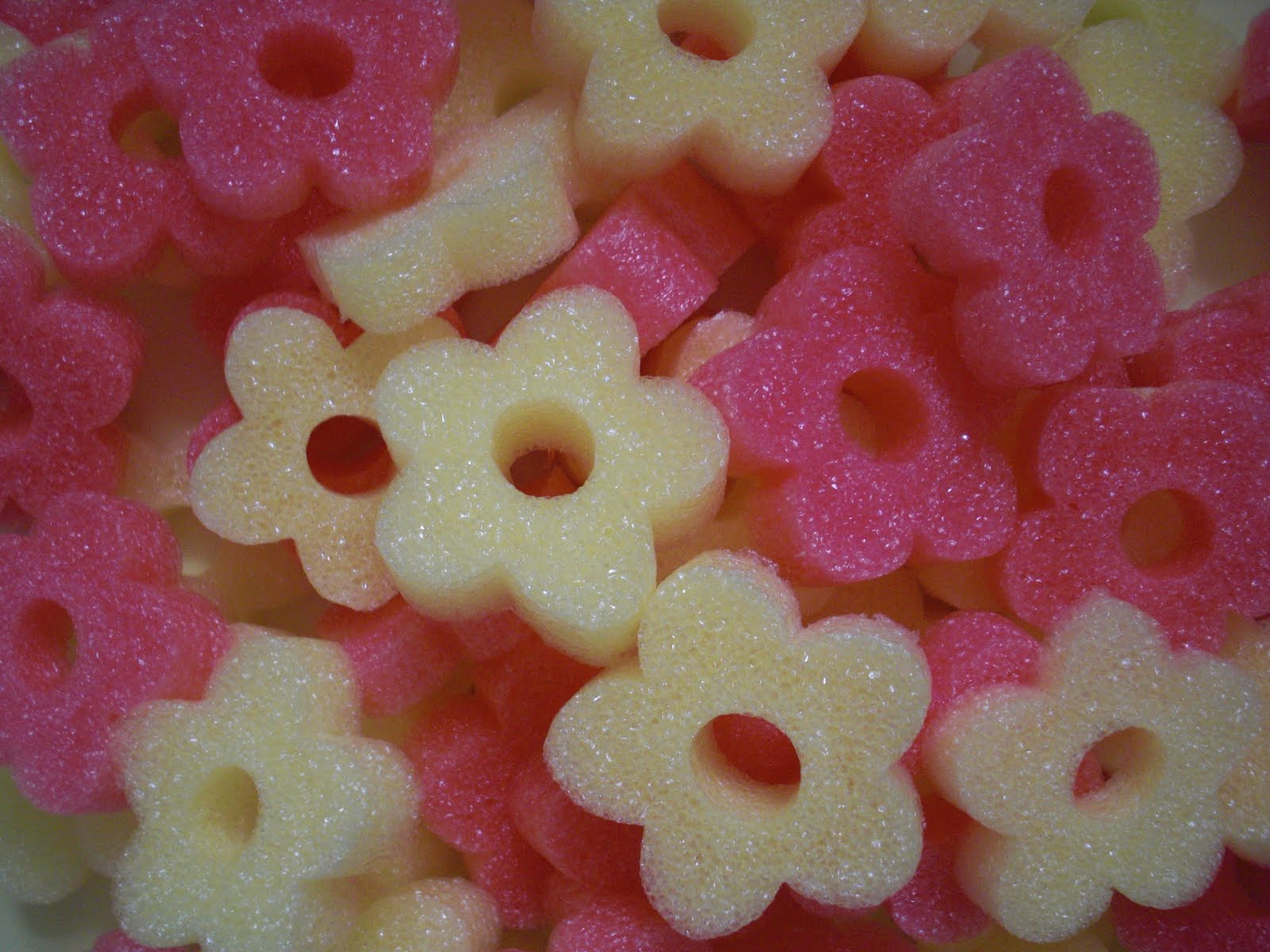 [noodle+flowers.jpg]