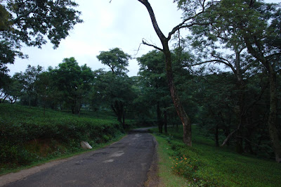 A section of a road through a valley