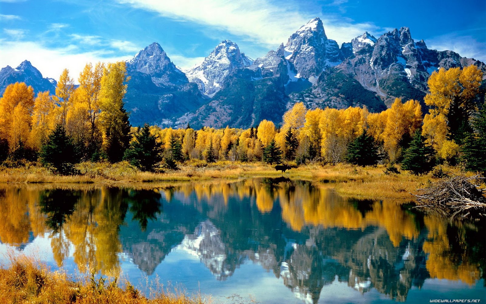 http://4.bp.blogspot.com/_8UZGPwu1_as/TVIOTbXdfNI/AAAAAAAAANk/BPL73m0Cr3c/s1600/wallpaper-139093.jpg