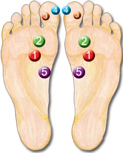 balancing touch reflexology 5 power points reflexology foot reflexology foot chart
