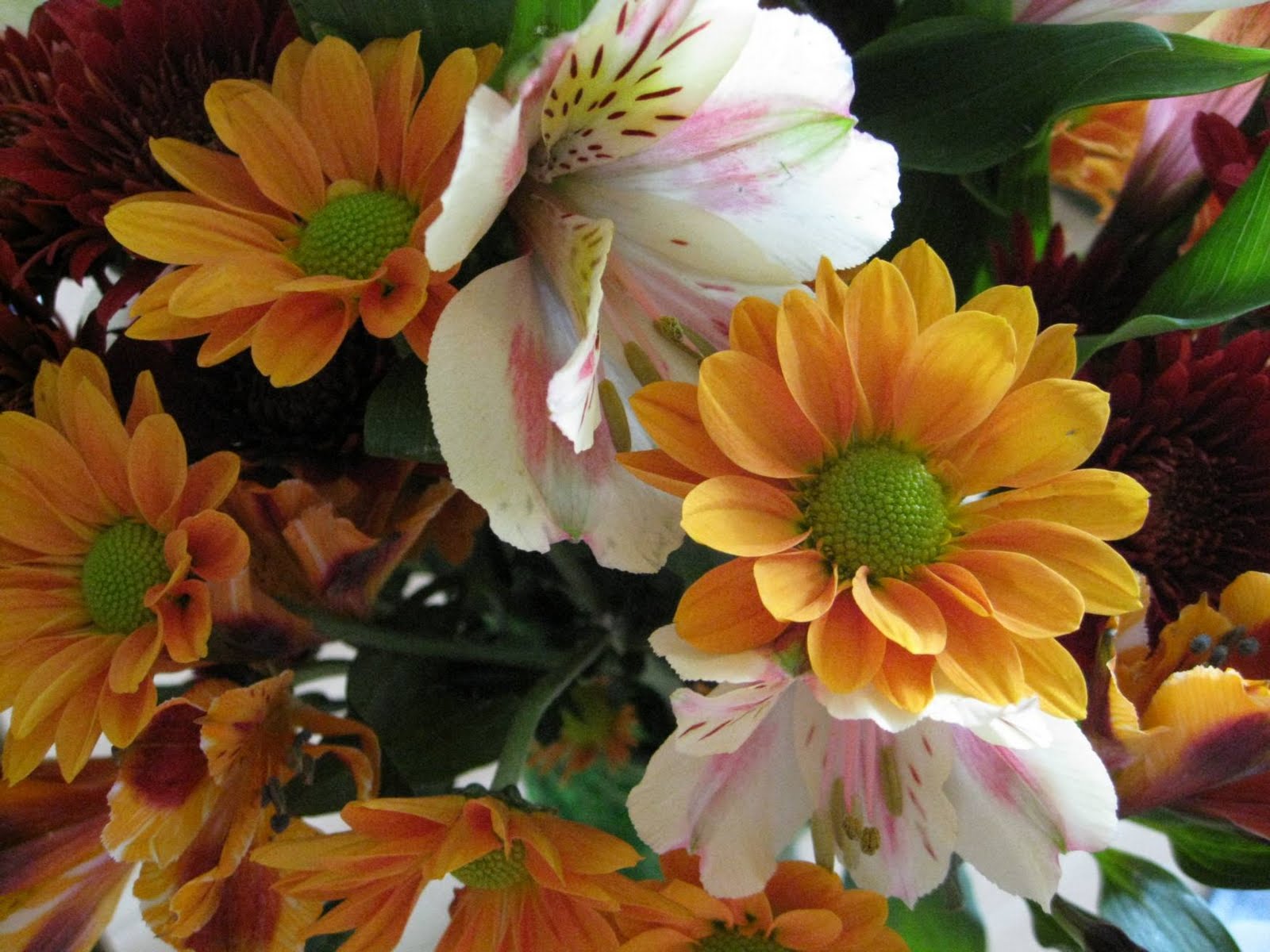 Stitching in Texas Fall flowers