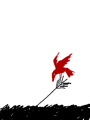 [021208.gif]