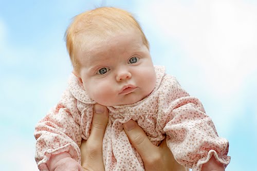 [Godthaab_072_small.jpg]