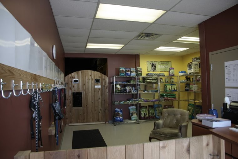 Me and my dogs in Halifax, Nova Scotia Happy Hounds Doggy Day Care