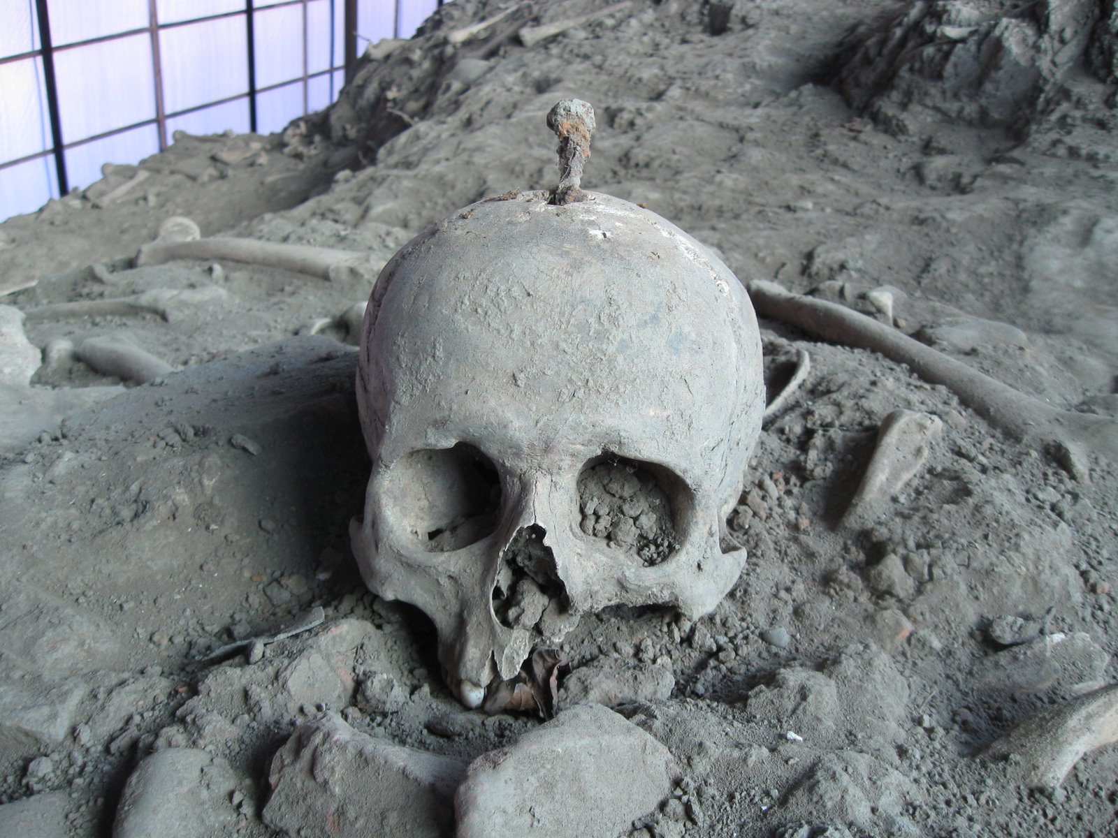 [skulls+(2).JPG]