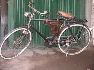 gazelle seri 6