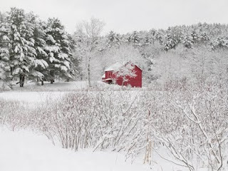 New Year Snowfall Wallpapers