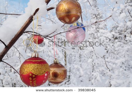 New-Year, snow, Wallpapers puppies in snow wallpaper. New-Year, snow, Wallpapers