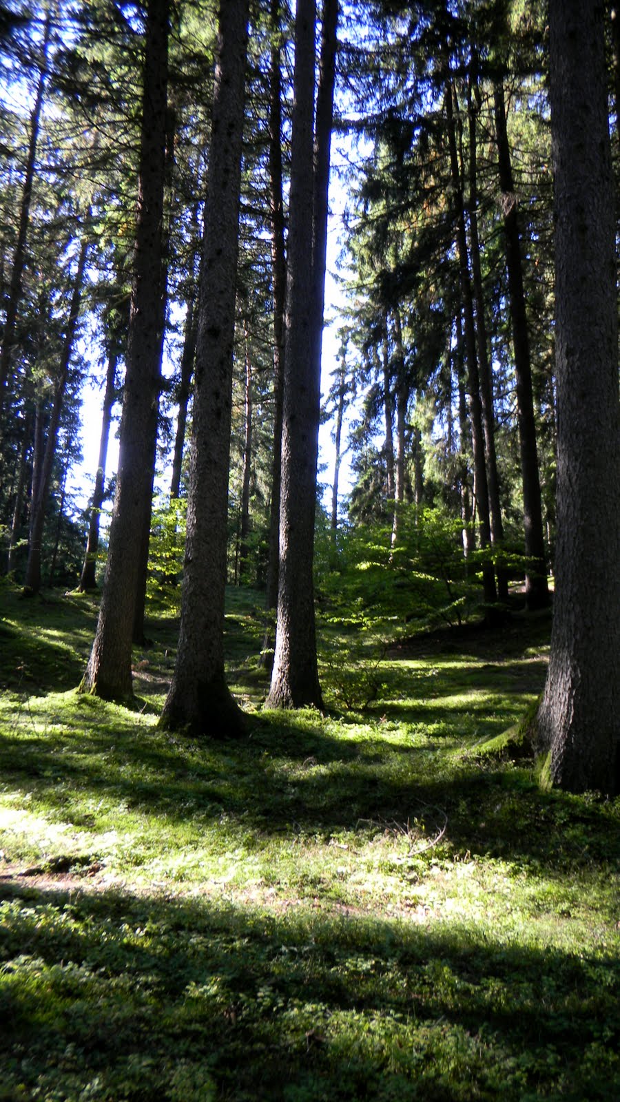 [DSCN0106.JPG]