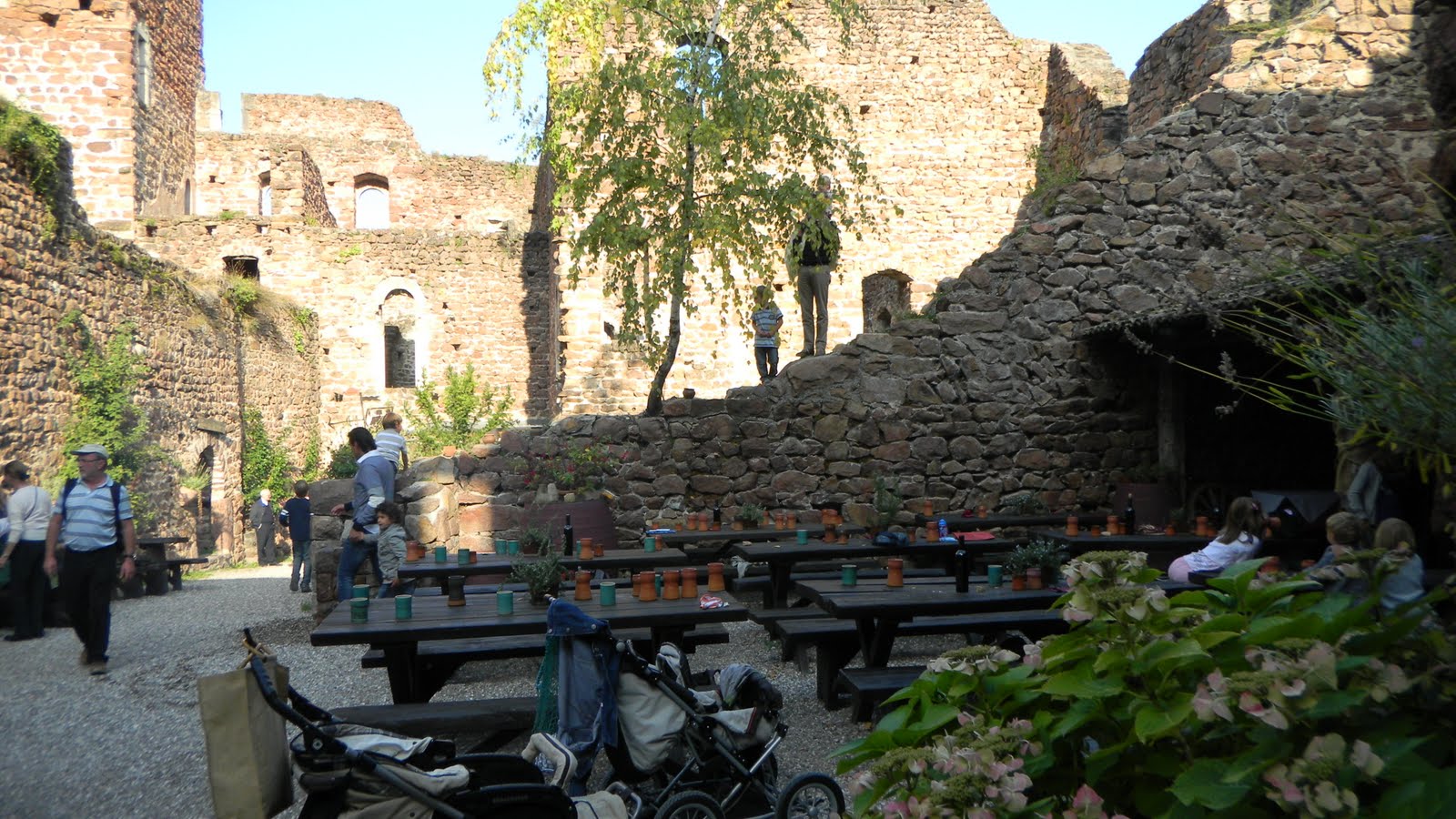 [DSCN0055.JPG]