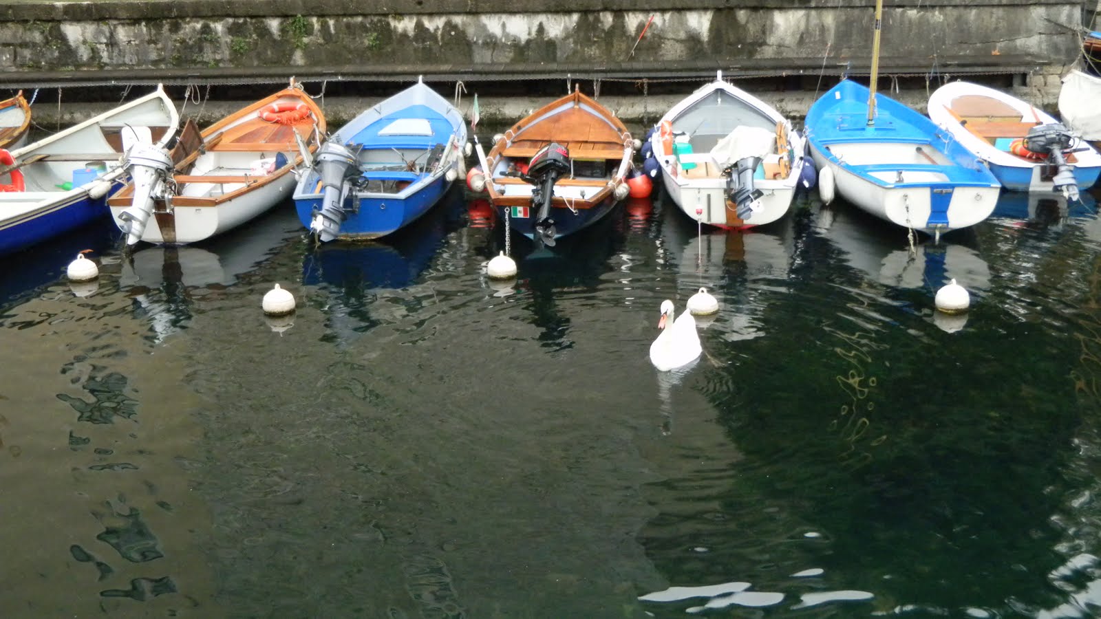 [DSCN0310.JPG]