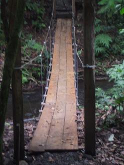 Hiking trail on the back yard