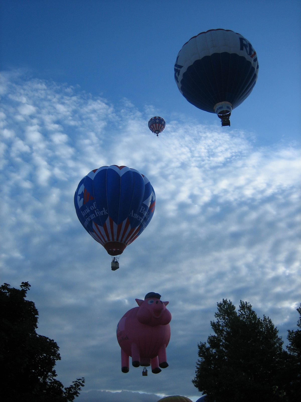 [IMG_4138.JPG]