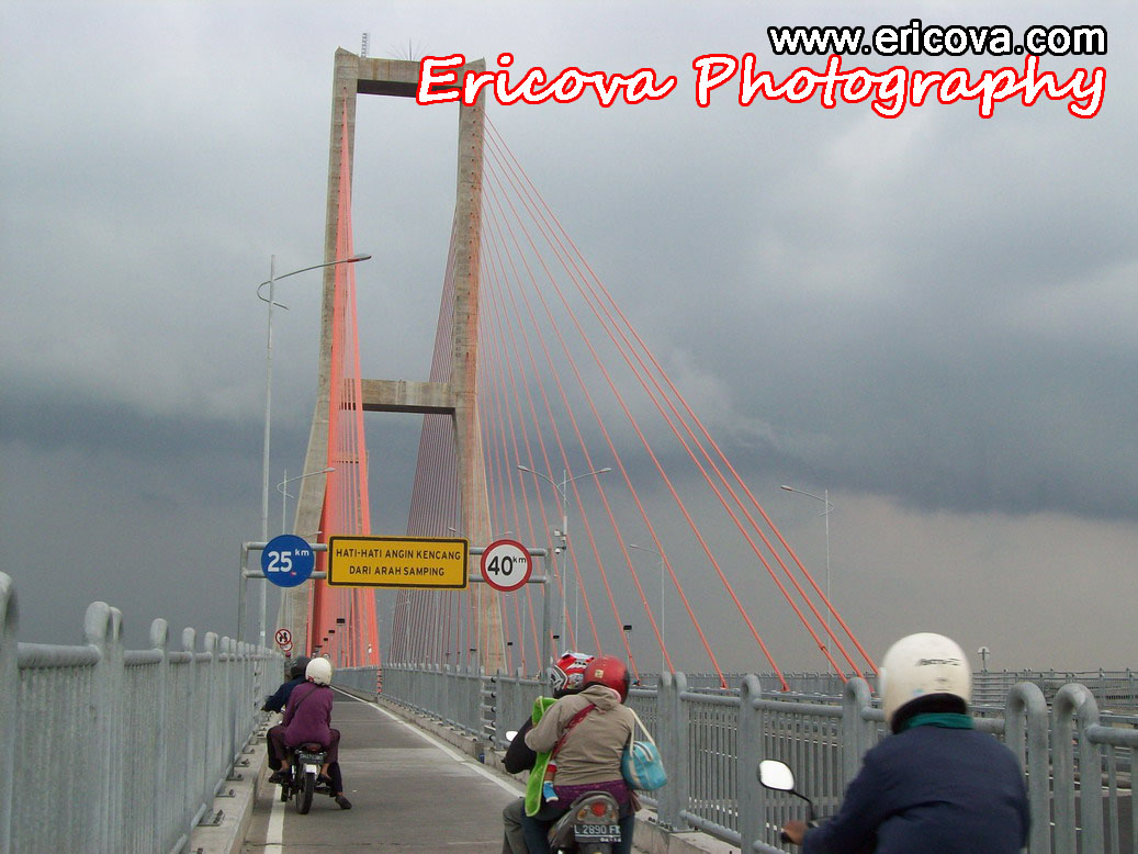 [100_2183_resize.JPG]