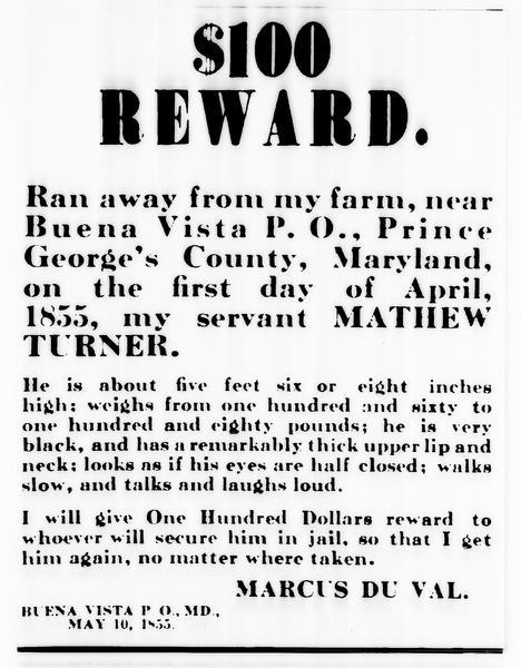 runaway slave ads