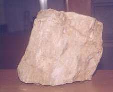 Municipal Fossil of Sibalom