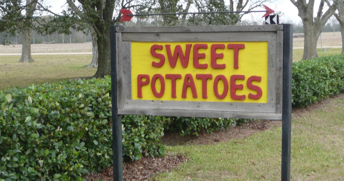 Great Southern Foods Louisiana Sweet Potato