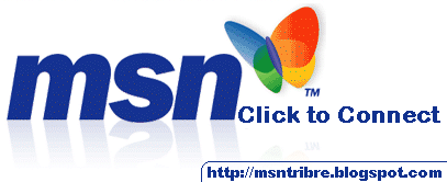 [MSN_logo.GIF]