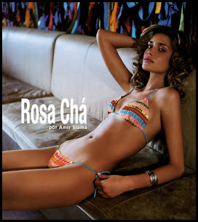 ana beatriz barros in rosa cha