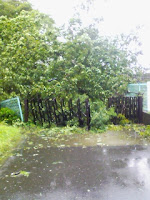 先日の台風９号による家の近所の被害の巻。