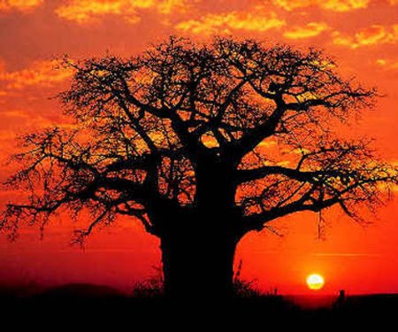 Lendário Rn7 Significa Rota Nacional Que Atravessa Savana Selvagem Vermelha  Africana Com Pequenas árvores E Arbustos Nos Lados Imagem de Stock - Imagem  de paisagem, destino: 174232899