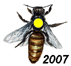ana arı renkleri