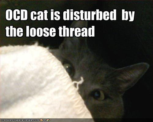 funny-pictures-ocd-cat-is-disturbed-by-l