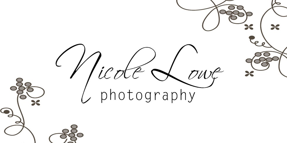 Nicole Lowe Photography