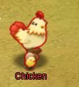 [chicken.JPG]