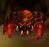 [redspider60.JPG]