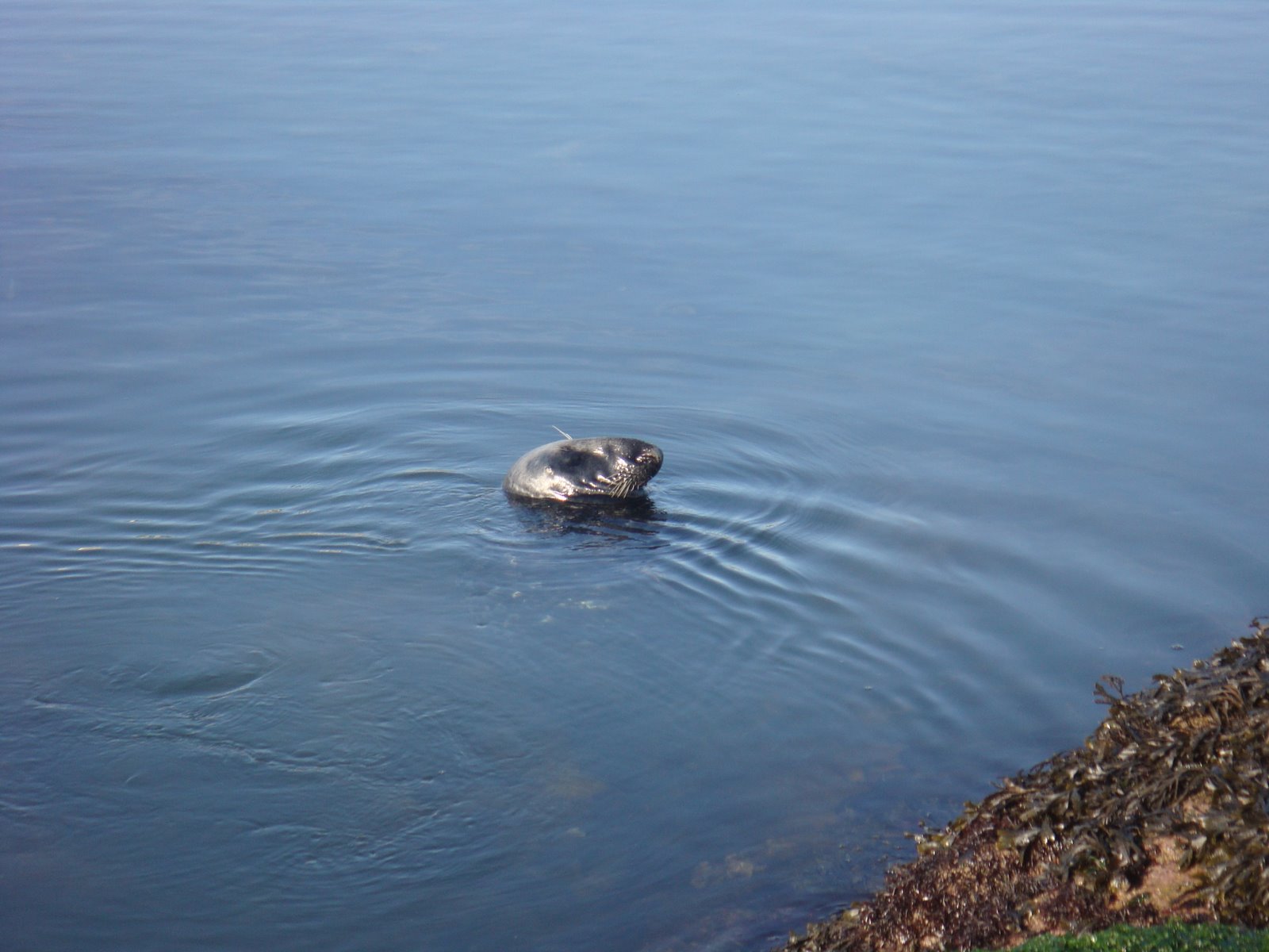 [DSC06178.JPG]
