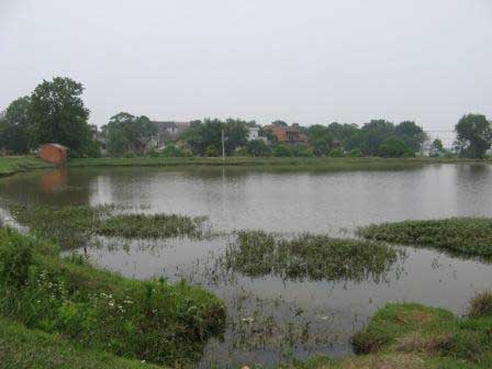 [WEB_fishing-pool_Adrian-Ely.jpg]