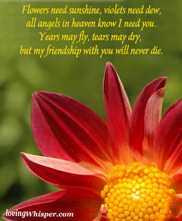 Friendship quotes, funny Friendship quotes, Cute Friendship quotes