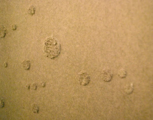 [20091128178.JPG]
