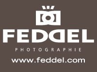 FEDDEL