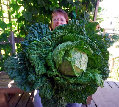 Scary Cabbage
