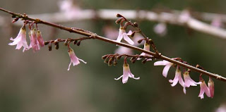 Maggio 2011