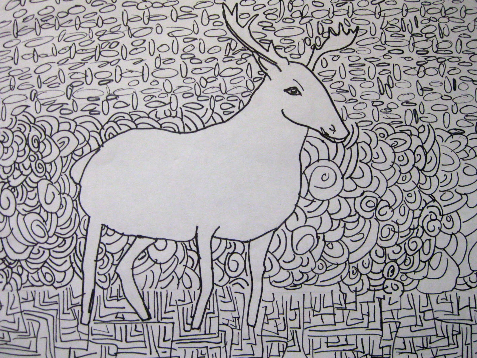 Contour Line Drawing Animal : Organized chaos th grade contour line drawing of animals