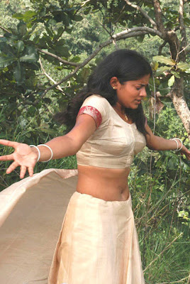 actress priyamani hot navel show photos