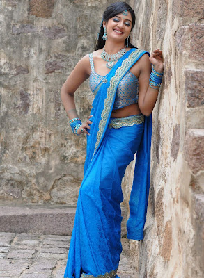 actress vimala raman in saree photos+123actressphotosgallery.com