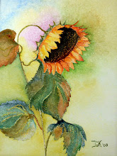 Zonnebloem (te koop)